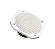 FRS 10 WP - 4 OHM (WHITE) image