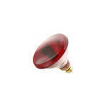2PAK:WW-6T9U-1